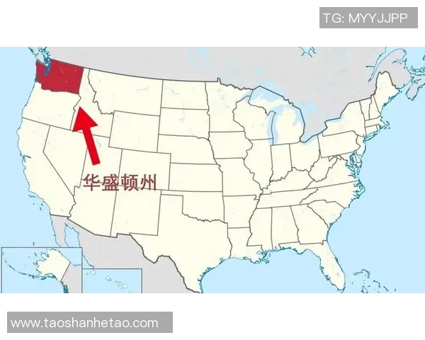 科罗拉多与西雅图比赛延期原因分析及影响探讨